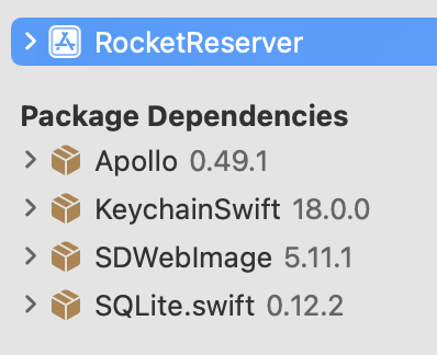 Screenshot of installed dependencies