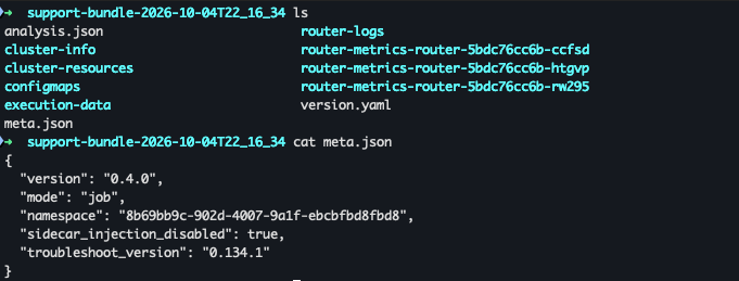 Generated support bundle including meta.json content using mode: job