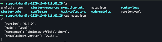 Generated support bundle including meta.json content using mode: local