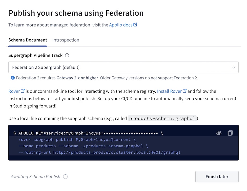 Schema registration options