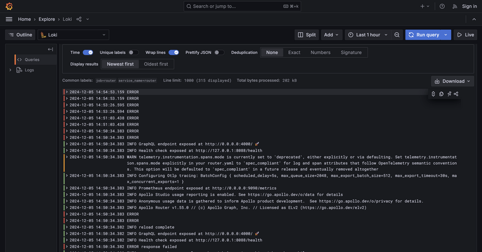 A screenshot of the Loki logs in greater detail