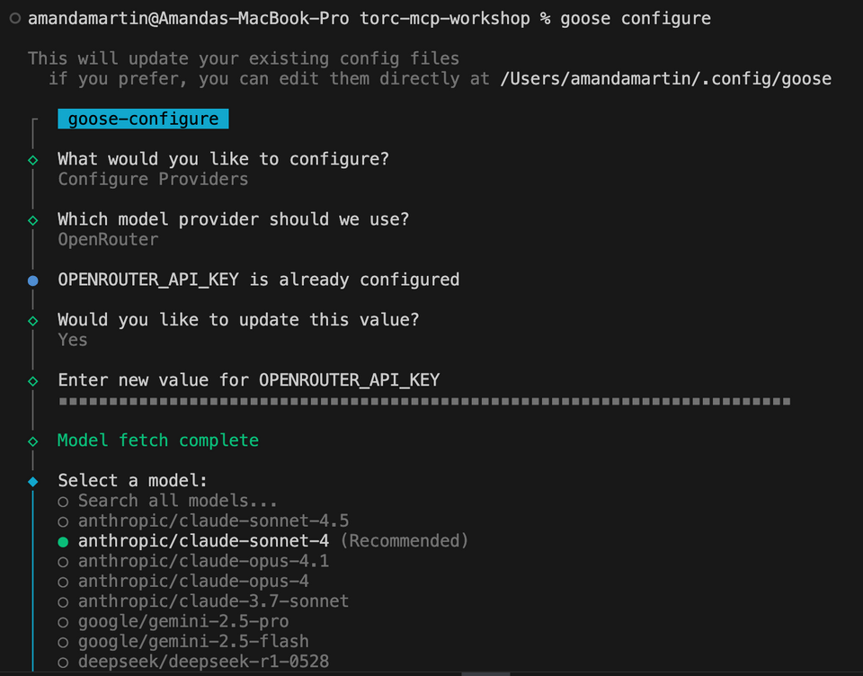 Screenshot of all terminal commands to configure open router