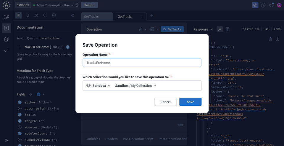 The Save Operation modal, with fields to name an operation and store it in a new default Sandbox collection.